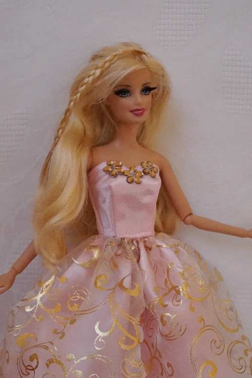 Růžová princezna — foto 3