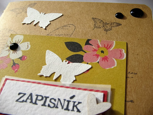 Zápisník - motýle :) — foto 4