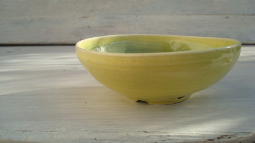 Mýdlenka zelená — foto 2