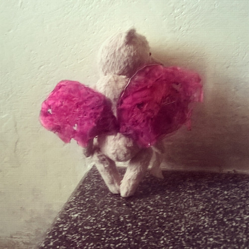Medvĕdí andílek — foto 2