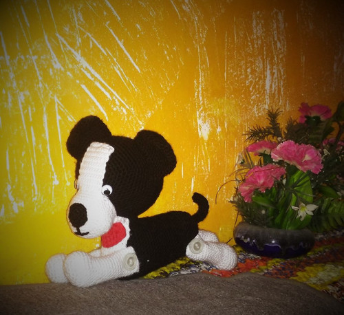Černobílé štěně — foto 2