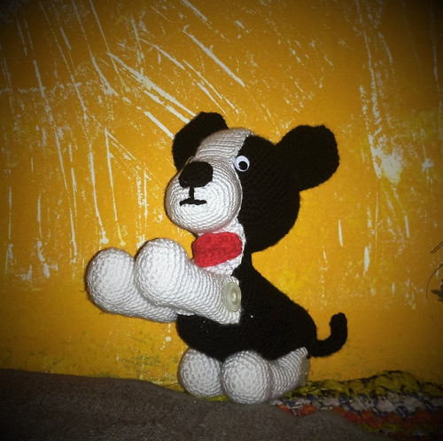 Černobílé štěně — foto 3
