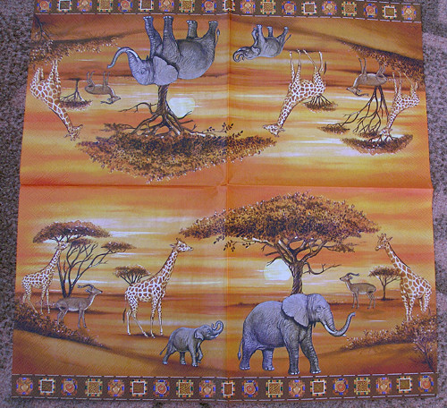 Afrika — foto 2