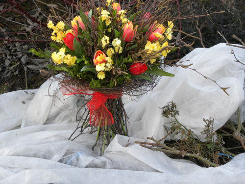 Březová kytka s tulipány — foto 2