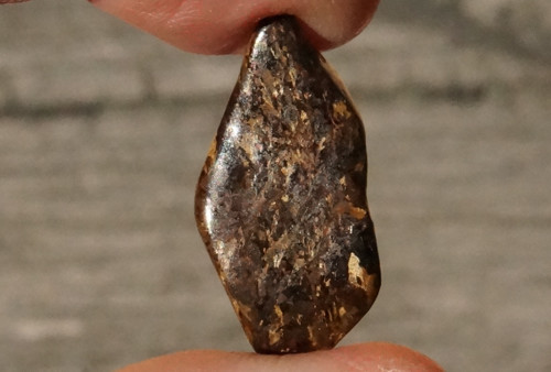 Bronzit D1730 — foto 2