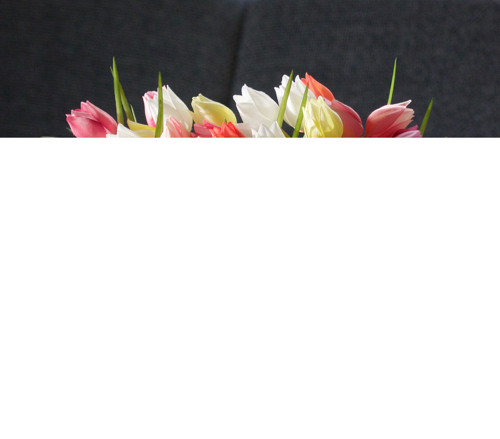 Dekorace Keukenhof — foto 4