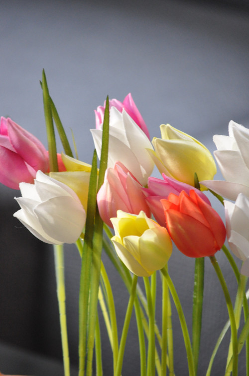 Dekorace Keukenhof — foto 5