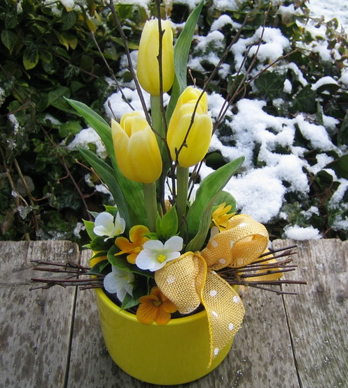 Žluté tulipány 3 — foto 2