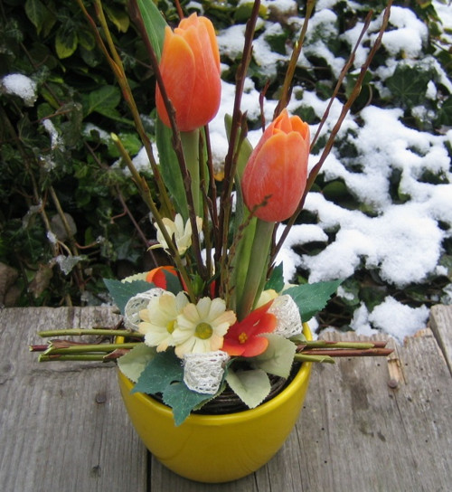 Oranžové tulipány — foto 2