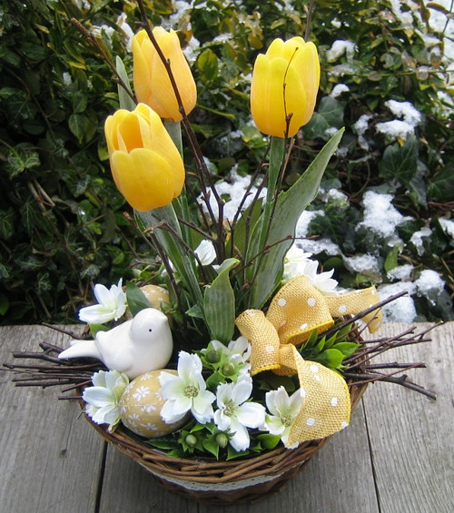 Žluté tulipány — foto 2