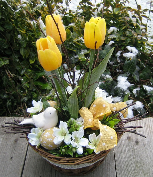 Žluté tulipány — foto 3
