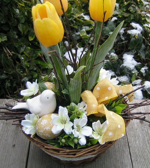 Žluté tulipány — foto 4