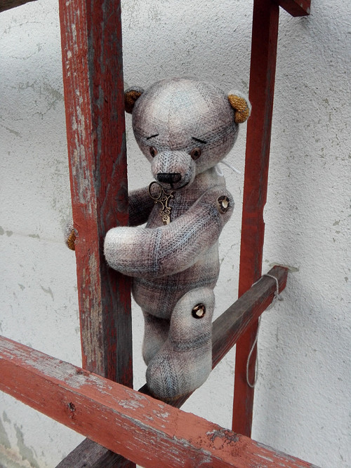 Medvídek Karel — foto 5