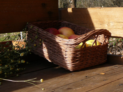 Krabička na drobnosti ořech - skladem — foto 5