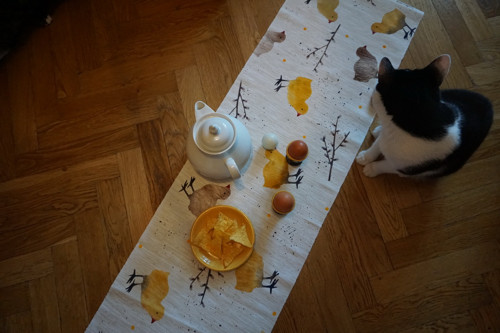 Kuřátka a kočičky — foto 4
