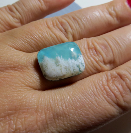 Dendritický achát s Gem silicou č.B52 — foto 3