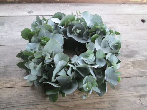 Eucalyptus — foto 2