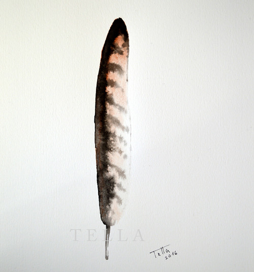 Pírko "5" — foto 2