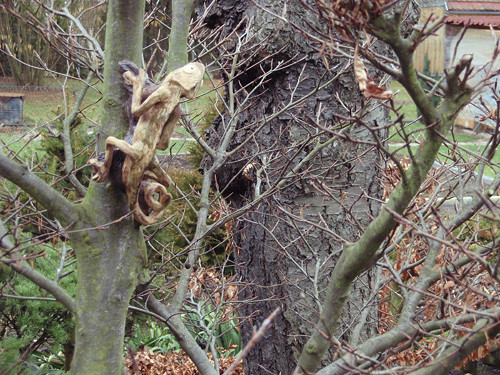 Chameleon — foto 5
