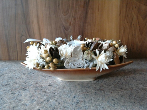 Svícen celoroční — foto 5
