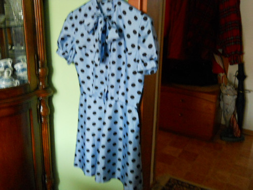 Modrá-černý puntík — foto 2