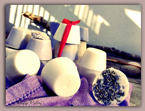 °• Levandule & Ambra & Jasmín •° — foto 2