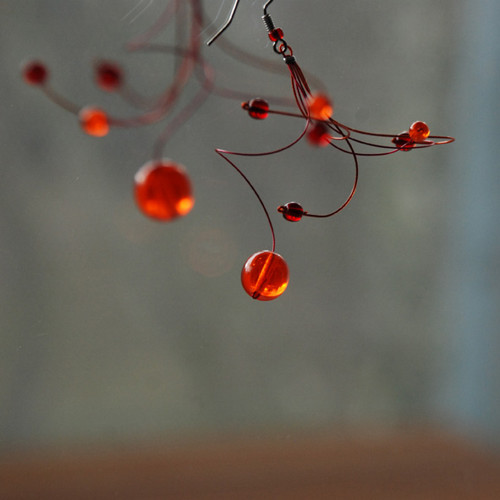 Oranžády — foto 3