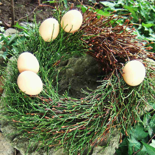 Věnec- Barevné přechody — foto 2
