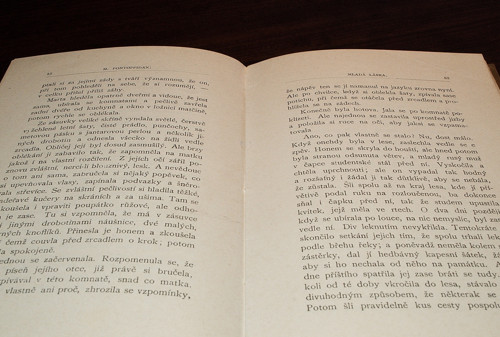 Mladá láska, H. Pontoppidan — foto 4
