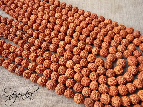 Rudraksha, 11 mm, 2 ks — foto 2