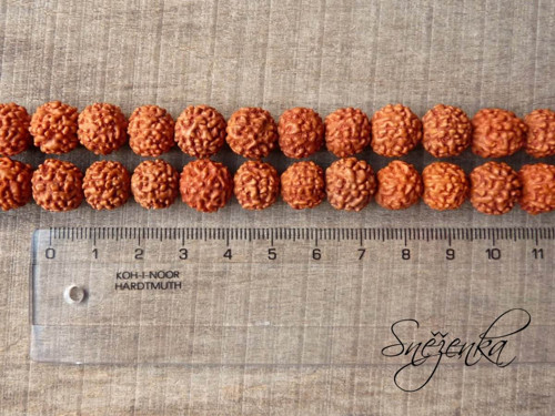 Rudraksha, 11 mm, 2 ks — foto 3