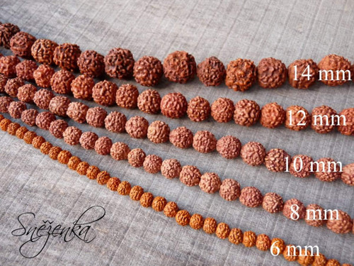 Rudraksha, 11 mm, 2 ks — foto 4