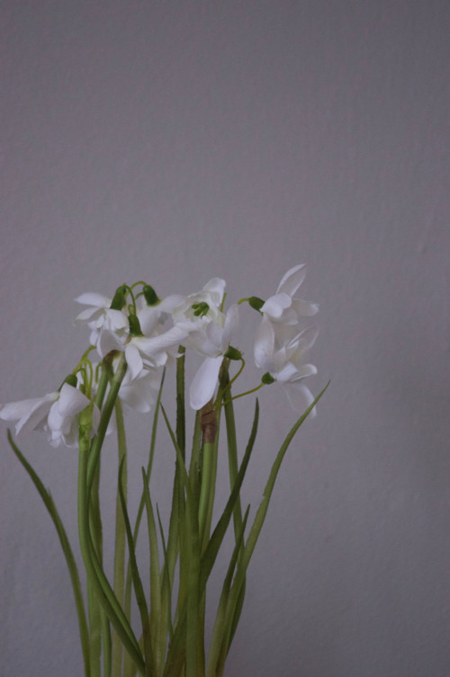 Dekorace EarlySpringEgg — foto 4