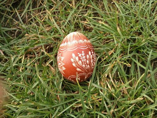 Škrábané slepičí vajíčko — foto 3