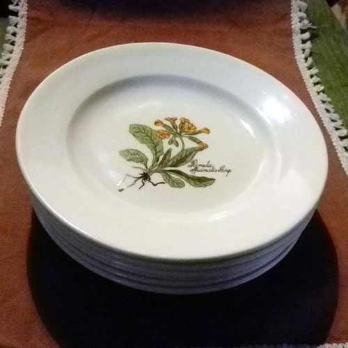 Petrklíčové talíře — foto 2