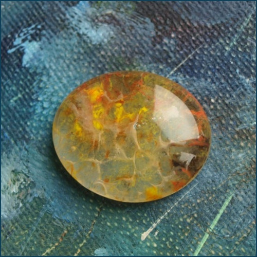 Oranžové / 1955 — foto 2