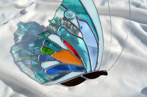 Butterfly blue — foto 2