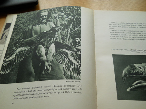 V kraji jezer a lesů. — foto 3