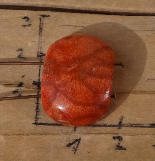 Korál houbový s 2 dirkami D1855 — foto 3