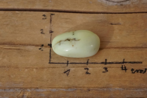 Citronový chryzopras D1863 — foto 3