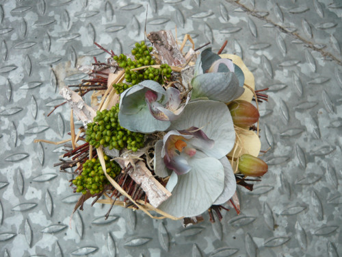 Kouzlo orchidei — foto 2