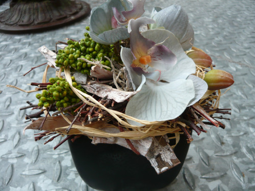 Kouzlo orchidei — foto 3