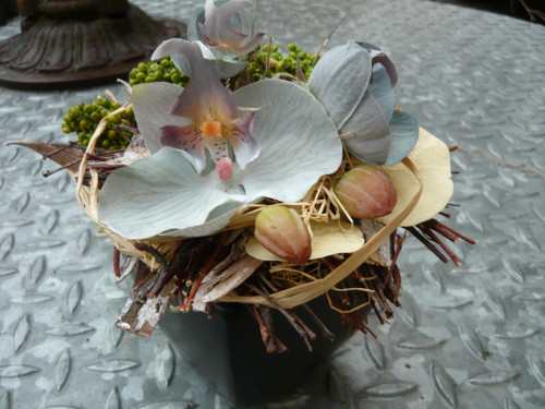 Kouzlo orchidei — foto 4