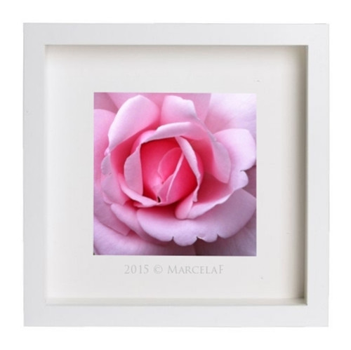 Sweet Rosie — foto 2