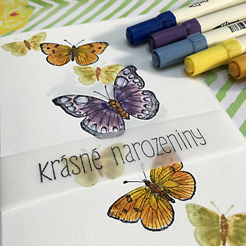 PŘÁNÍ / motýlí — foto 2