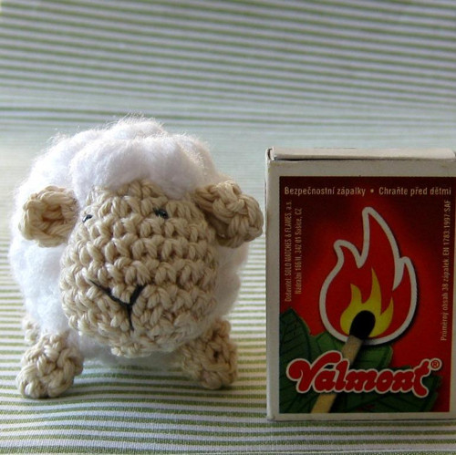 Ovečka — foto 3