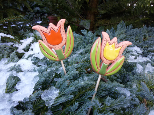 Zápich, tulipánek — foto 2