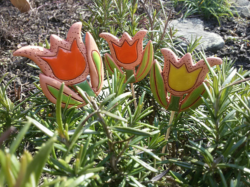Zápich, tulipánek — foto 3