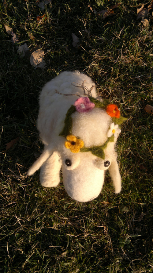 Ovečka Baruška — foto 2