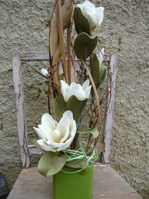 Pěnová magnolie — foto 2